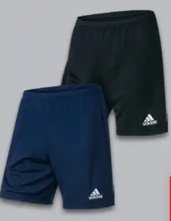 Lidl Adidas Herren Shorts Angebot