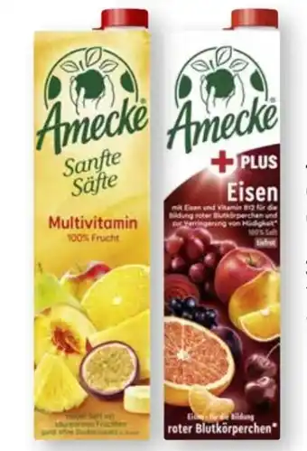 Scheck-in-Center Amecke Sanfte Säfte Multi Vitamin Angebot