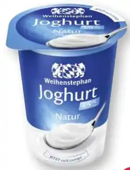 Scheck-in-Center Weihenstephan Joghurt Angebot