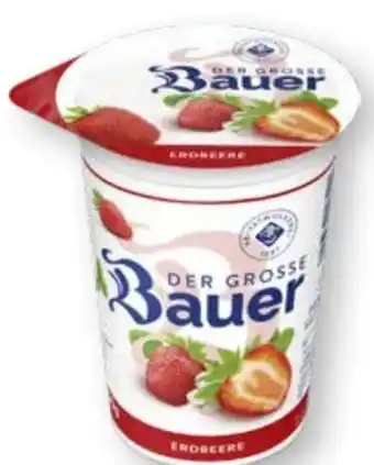 Scheck-in-Center Bauer Der Große Fruchtjoghurt Angebot