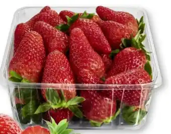 Scheck-in-Center Erdbeeren Angebot