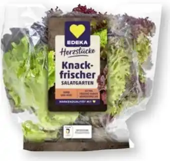 Scheck-in-Center Edeka Herzstücke Knackfrische Salatgarten Angebot