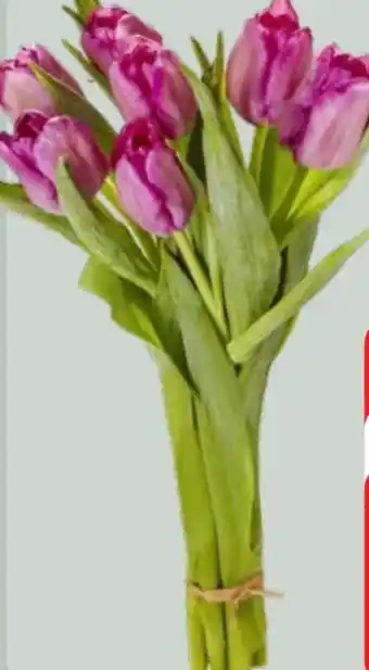 Edeka Tulpenstrauß XL Angebot