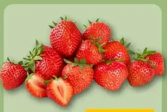 REWE Center Erdbeeren Angebot