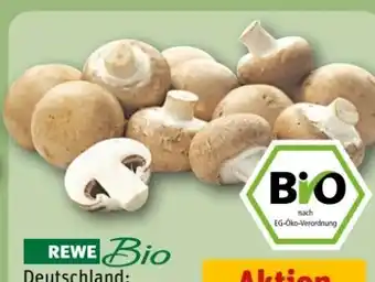 REWE Center Rewe Bio Champignons Angebot