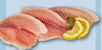 REWE Center Tilapiafilet Angebot