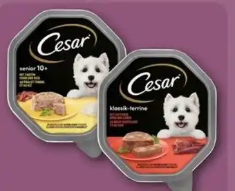 REWE Center Cesar Klassik-Terrine Hundenahrung Angebot