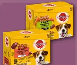 REWE Center Pedigree Hundenahrung Angebot