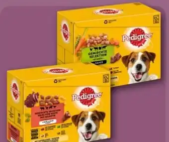 REWE Center Pedigree Hundenahrung Angebot