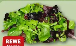 REWE Rewe Beste Wahl Wildkräuter Salat Angebot