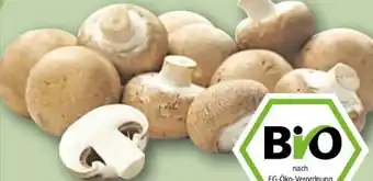 REWE Rewe Bio Champignons Angebot