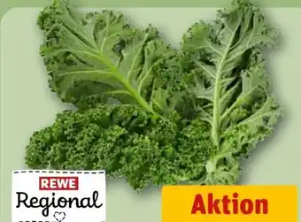 REWE Rewe Regional Grünkohl Angebot