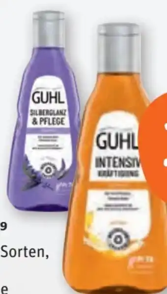 tegut Guhl Shampoo Angebot