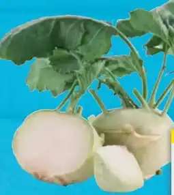 E-Center Kohlrabi Angebot