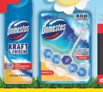 E-Center Domestos WC-Reiniger Angebot