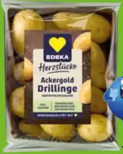 Edeka Edeka Herzstücke Speisekartoffeln Ackergold Drillinge Angebot