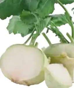 Edeka Kohlrabi Angebot