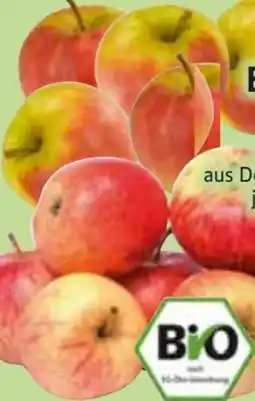 Edeka Bio Tafeläpfel Braeburn Angebot