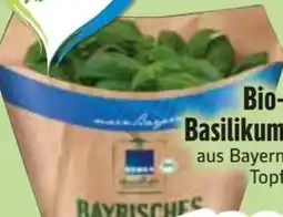 Edeka Edeka Bio Bio-Basilikum Angebot