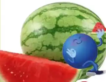 Edeka Mini-Wassermelone Angebot