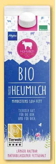 REWE Center Hof-Milch Allgäuer Bio Heumilch Angebot