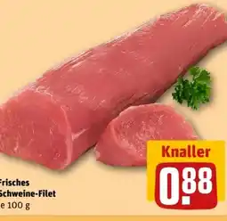 REWE Center Schweinefilet Angebot