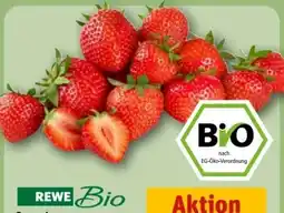 REWE Center Rewe Bio Bio-Erdbeeren Angebot