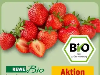 REWE Center Rewe Bio Bio-Erdbeeren Angebot