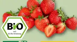 REWE Rewe Bio Bio-Erdbeeren Angebot