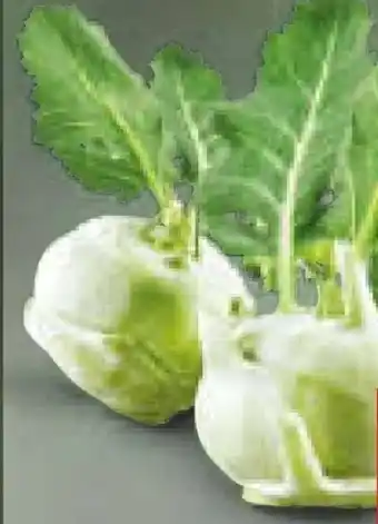 Netto Marken-Discount Kohlrabi Angebot