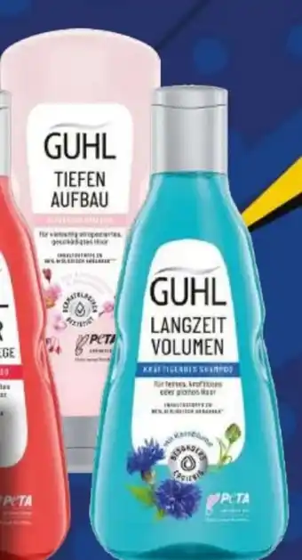 EDEKA Bandelt Guhl Shampoo Angebot