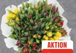 Edeka Frischemarkt Tulpen Angebot