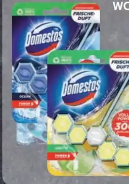 Edeka Domestos WC Steine Power 5 Angebot