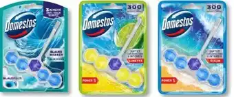 Budni Domestos WC Steine Power 5 Angebot