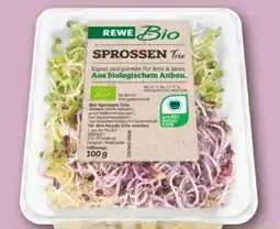 REWE Rewe Bio Sprossen Angebot