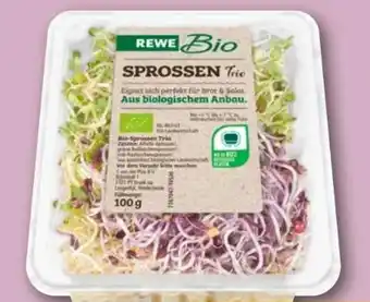 REWE Rewe Bio Sprossen Angebot