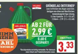 Marktkauf Mellerud grünbelag entferner Angebot