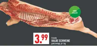 Marktkauf Frische halbe schweine Angebot