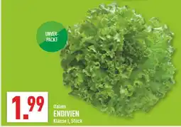 Marktkauf Italien endivien Angebot