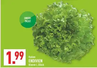 Marktkauf Italien endivien Angebot