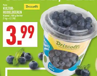 Marktkauf Driscoll's kultur-heidelbeeren Angebot