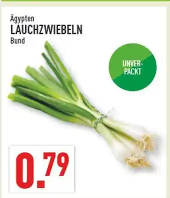 Marktkauf Lauchzwiebeln Angebot