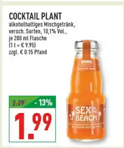 Marktkauf Cocktail plant sex on the beach Angebot