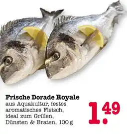 E-Center Frische dorade royale Angebot