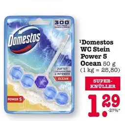 E-Center Domestos wc stein power 5 ocean Angebot