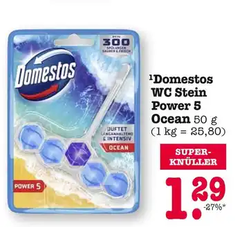 E-Center Domestos wc stein power 5 ocean Angebot