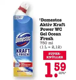 E-Center Domestos aktiv kraft power wc gel ocean fresh Angebot