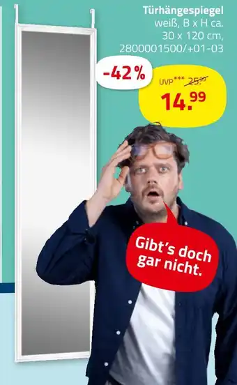 ROLLER Türhängespiegel Angebot