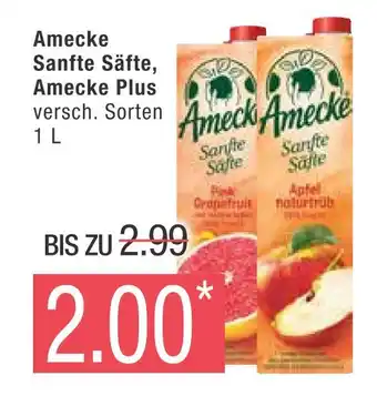 Marktkauf Amecke sanfte säfte, amecke plus Angebot