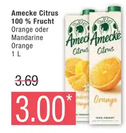 Marktkauf Amecke orange oder mandarine orange Angebot